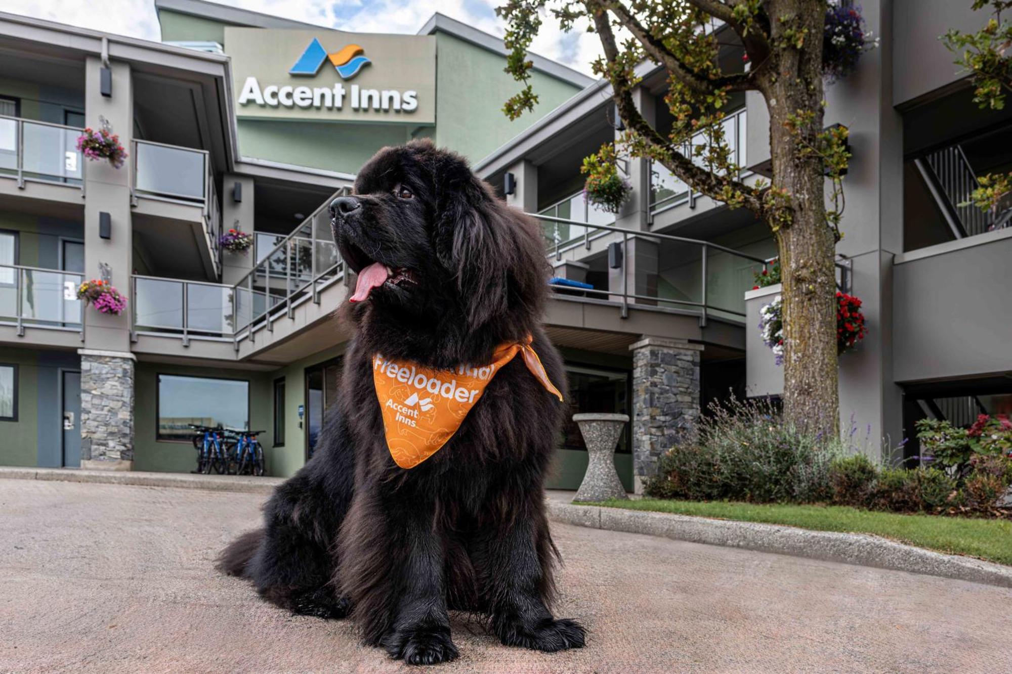 Accent Inns Vancouver Airport Richmond Exterior foto